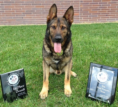 First Place K-9