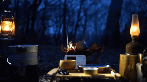 Reliving Your Favorite Camping Trip with Priceless Wildlife Recordings